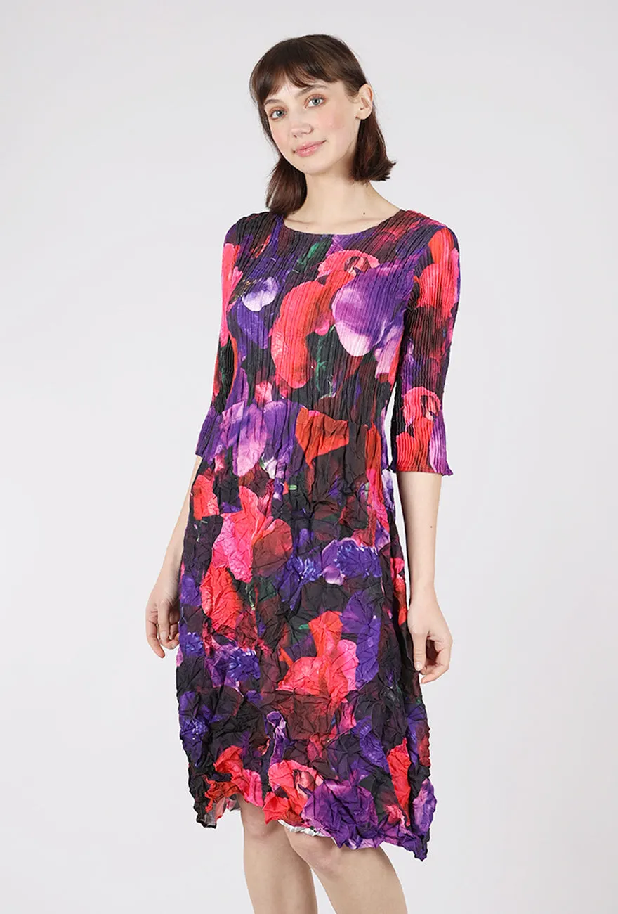 Style Edge 3/4-Sleeve Smash Pocket Dress, Sweet Pea