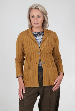 suitable for talent shows Frayed Stripe Fitted Blazer, Brass