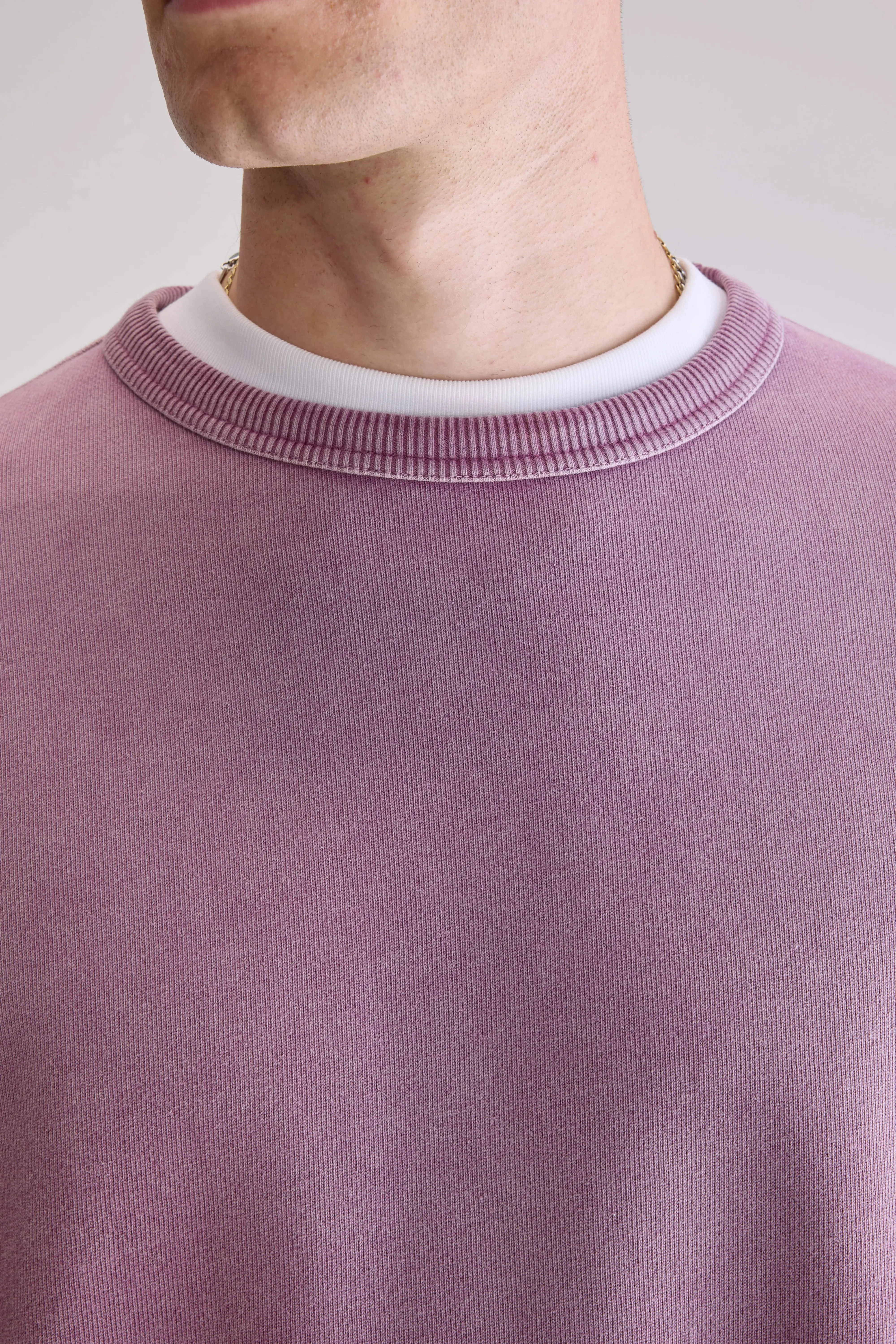 Fabien crewneck sweatshirt (252 / M / VELVET) Classic Light