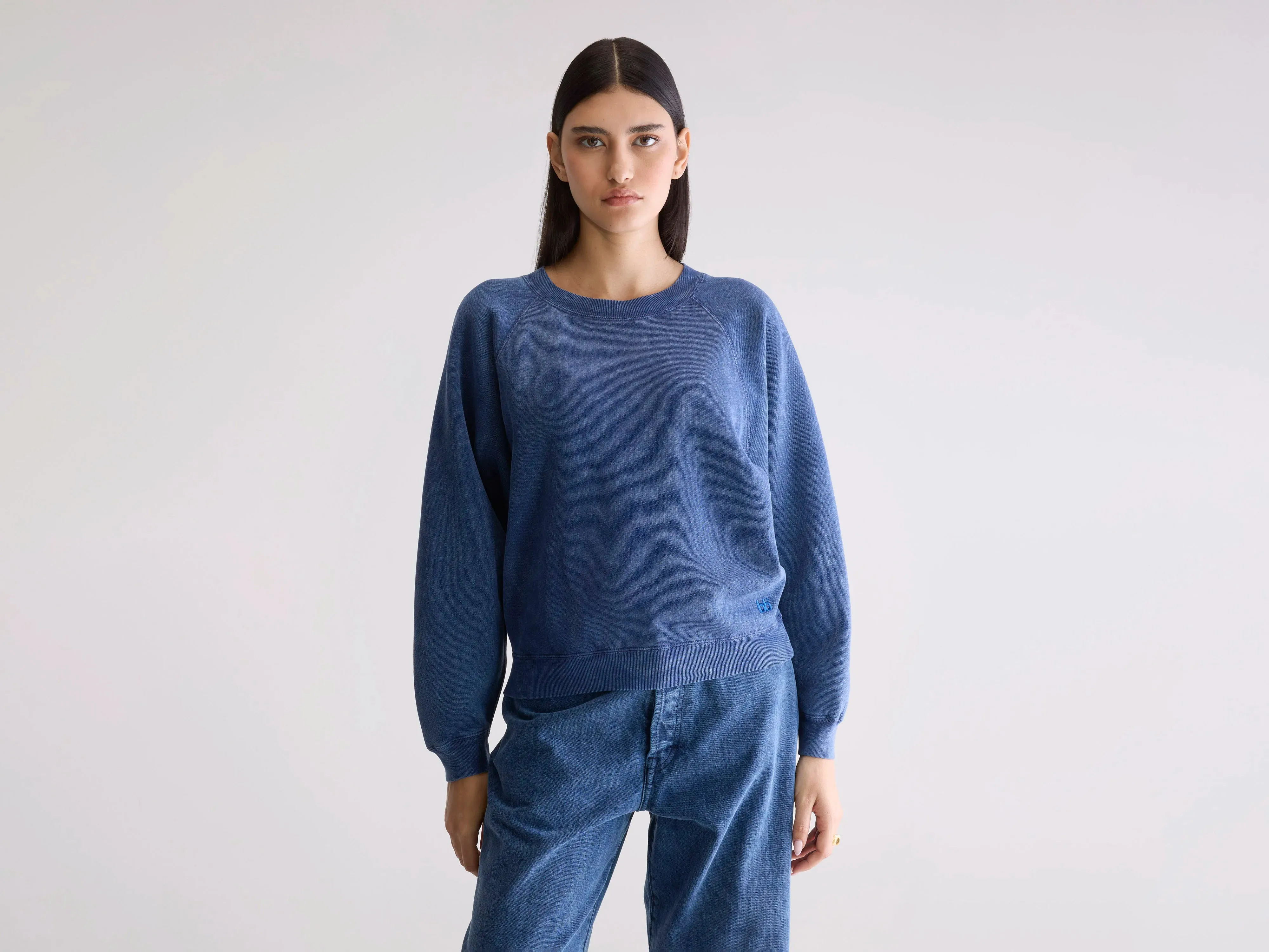 Striped Pattern Fella relaxed sweatshirt (252 / W / BLUES)