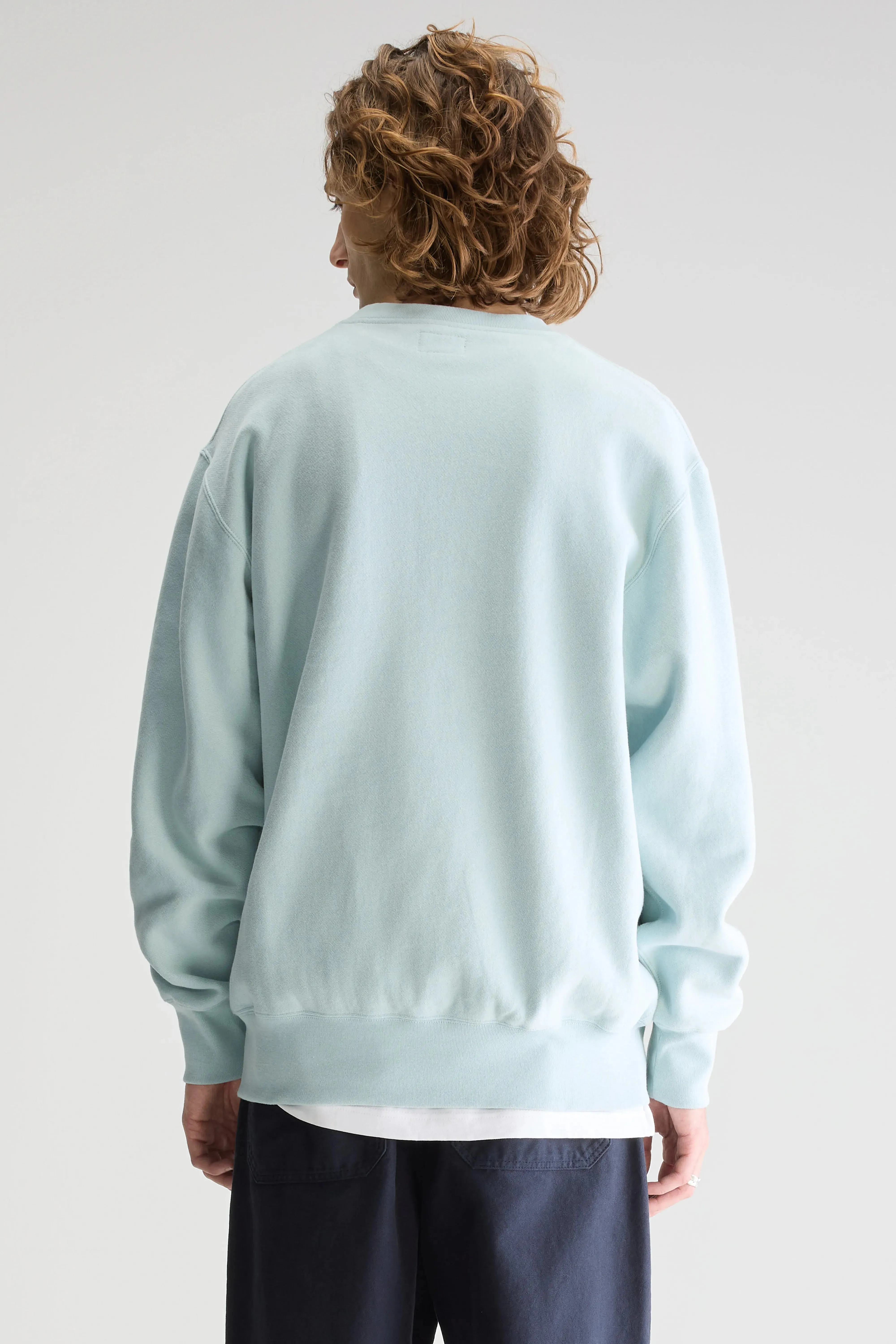 Flake crewneck sweatshirt (251 / M / POOL) Trusted brands