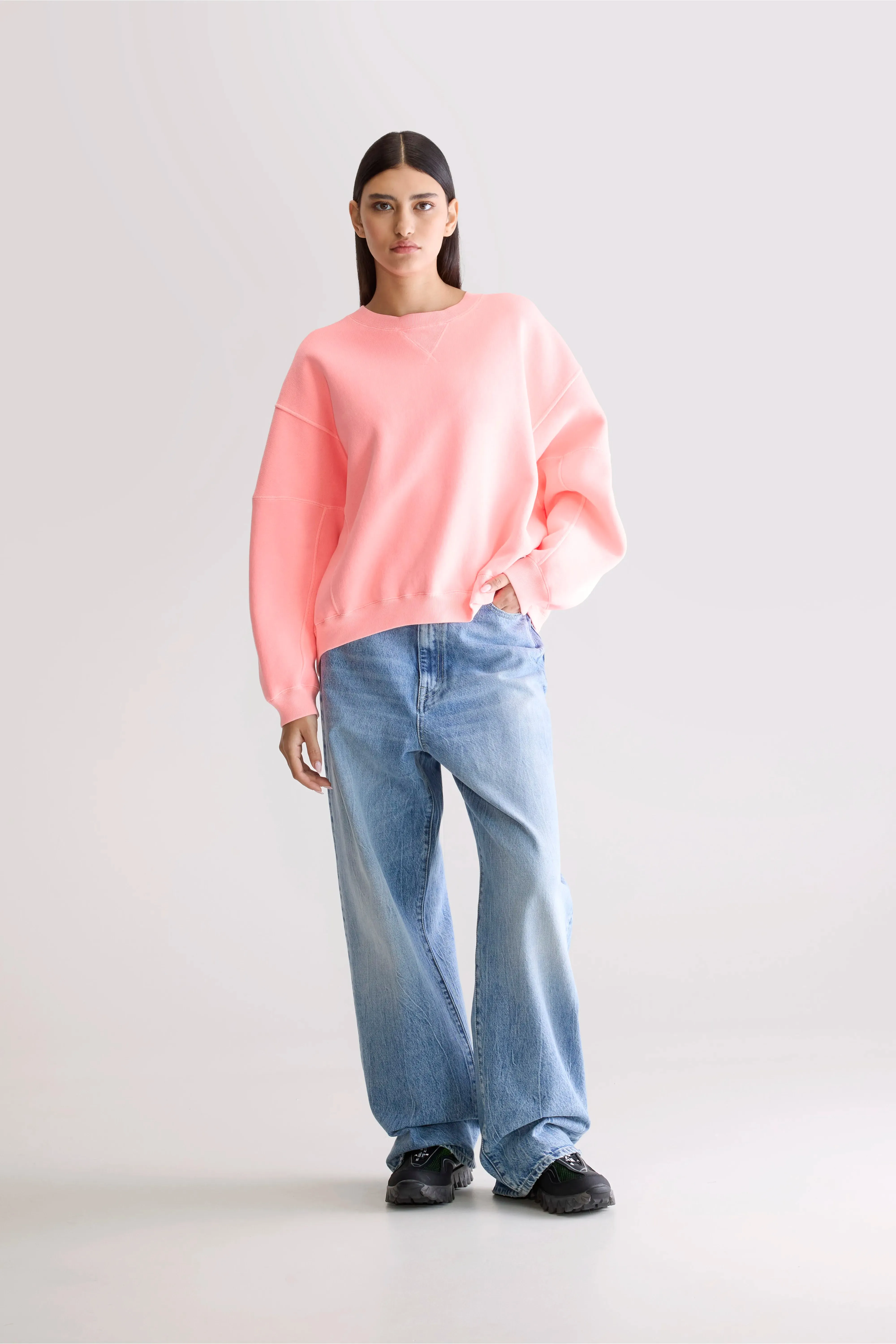 Flips crewneck sweatshirt (252 / W / FLASH WASH) Timeless Smart