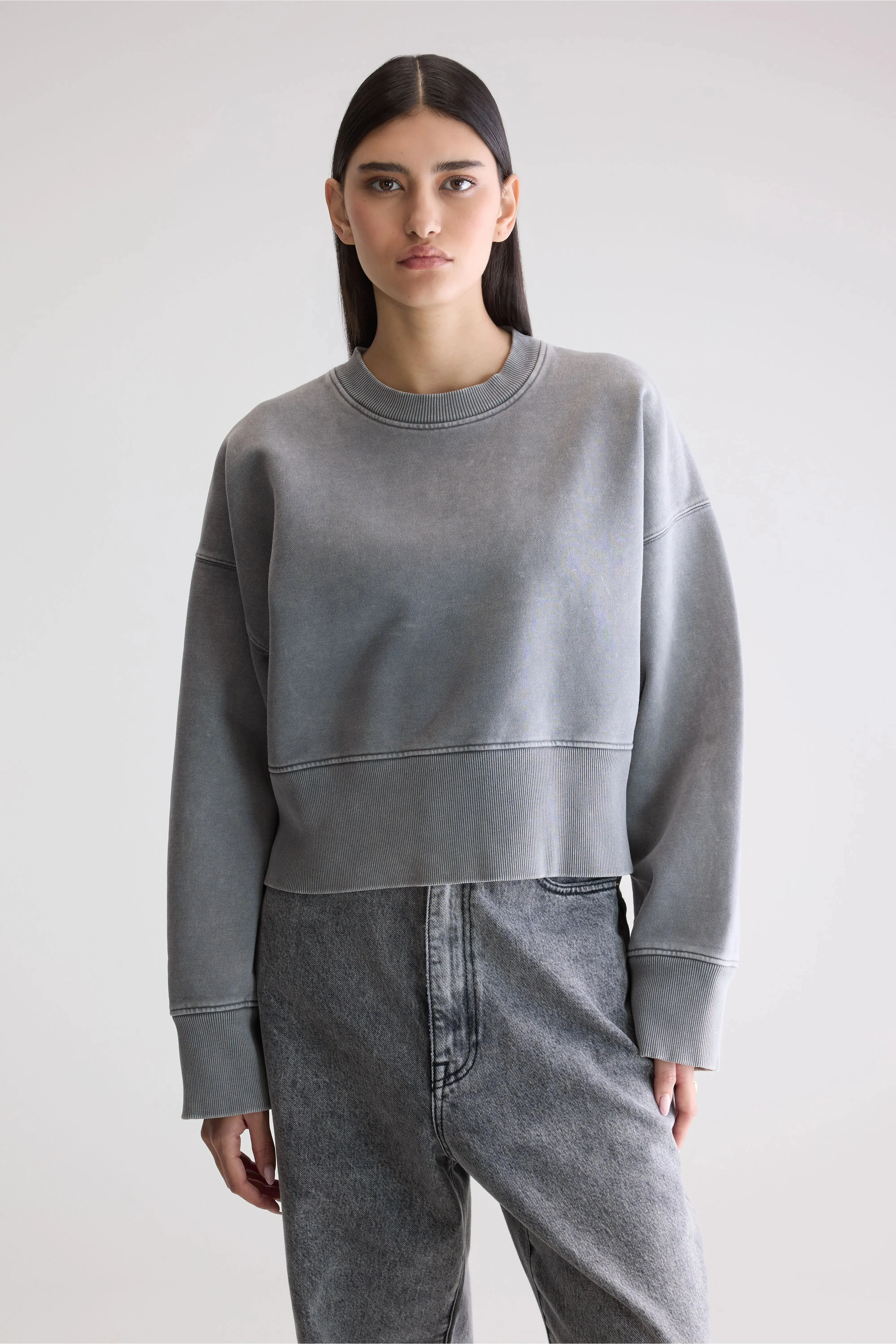 Heavyweight Blend Slenni crewneck sweatshirt (252 / W / IRON)