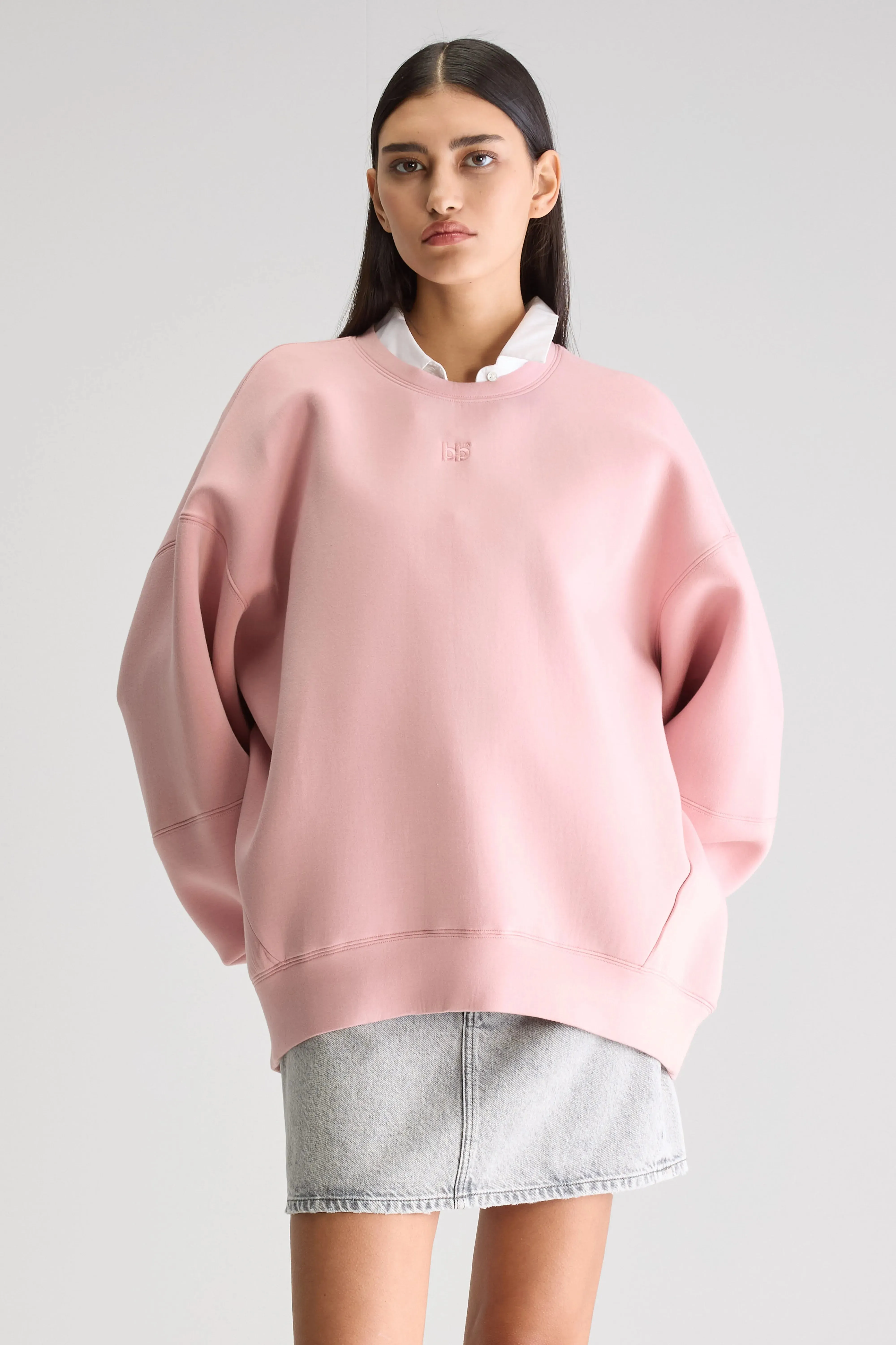 Premium Fleece Trig crewneck sweatshirt (251 / W / CHEEKS)