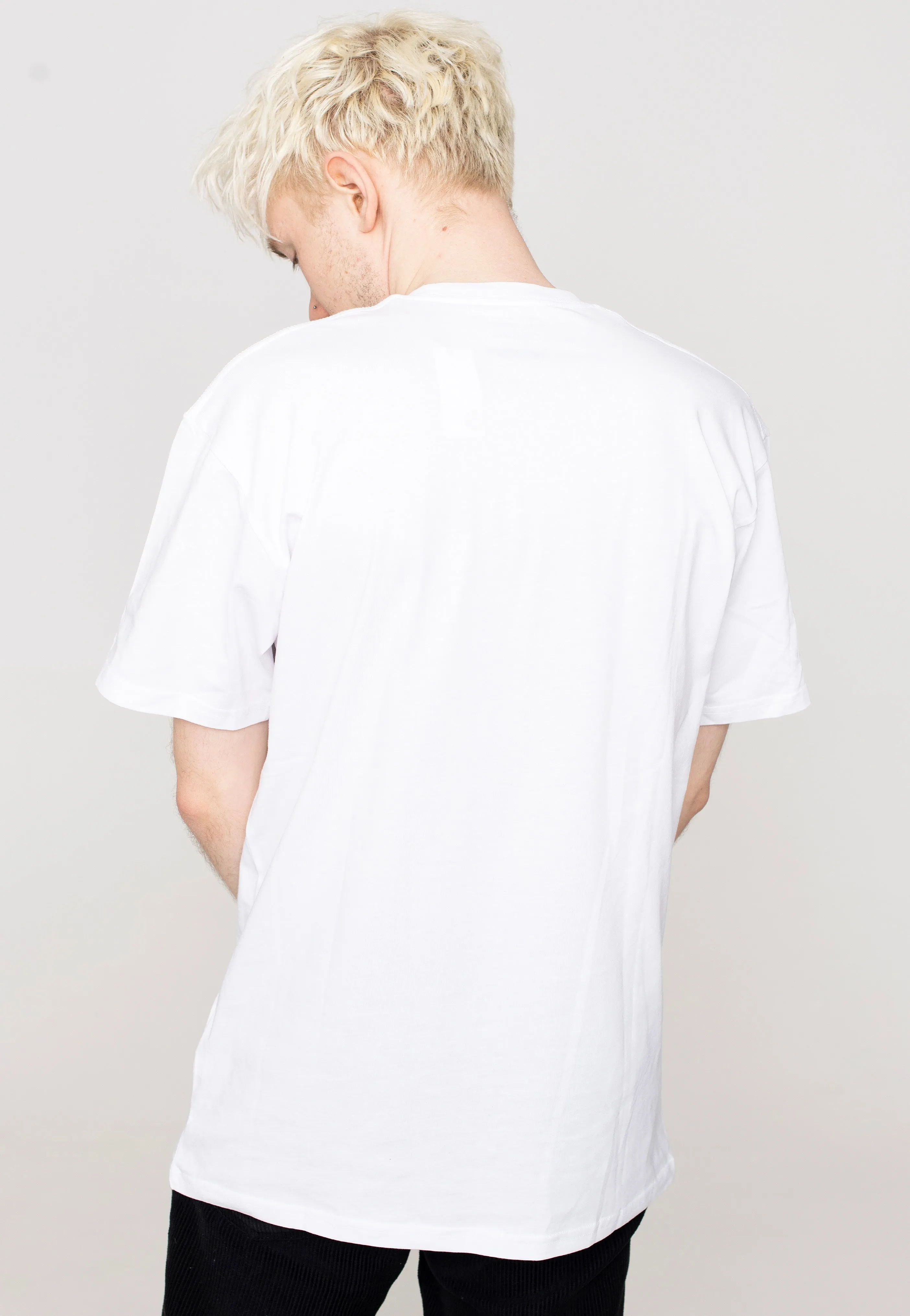 Stone - washed Vans - Classic Print Box White/Loden Green - T-Shirt