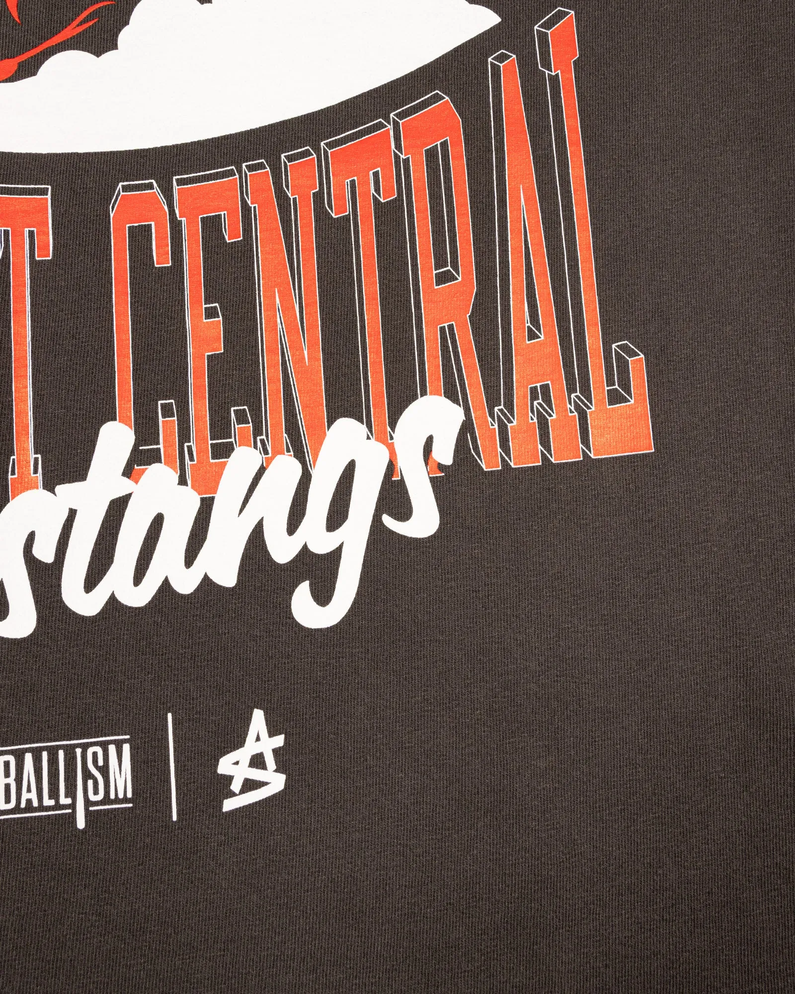 Tennessee Catholic Baptist Central Relaxed Fit T-Shirt (Carbon) - Baseballism x Austin Schultz Breathable Comfort