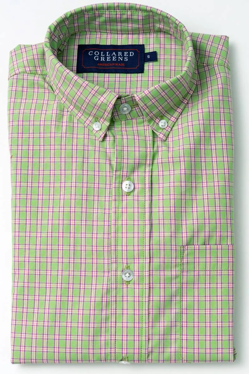 Timeless Design Cary: Brookline Button Down - Green/Violet (M)
