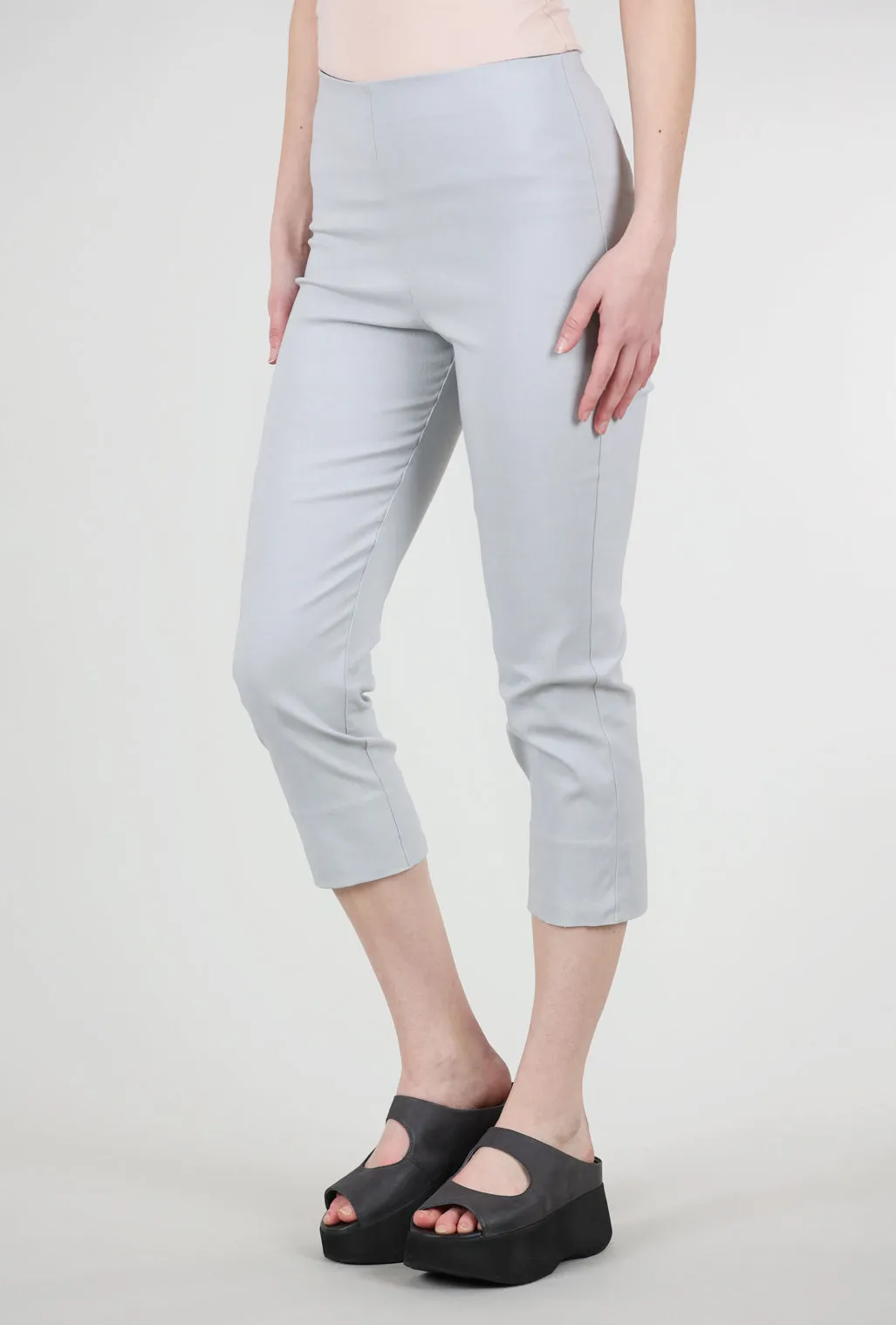 Trendy Waist Mindy Cropped Pant, Silver