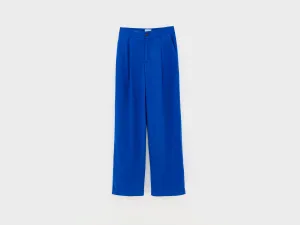 Viktor formal trousers (251 / W / BLUEWORKER) Zipper Closure Effortless Style