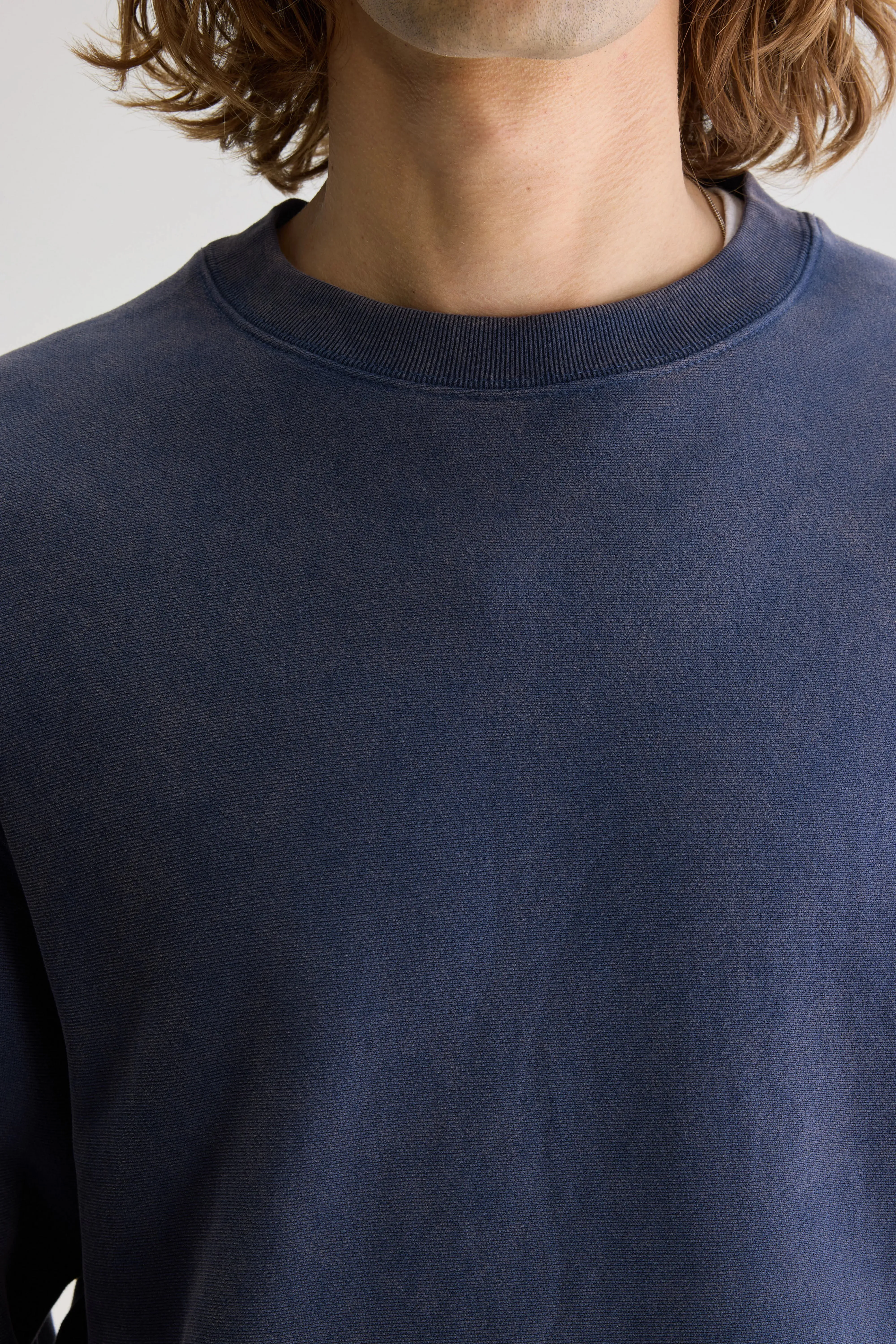 Wrinkle Resistant Flake crewneck sweatshirt (251 / M / REGAL BLUE)