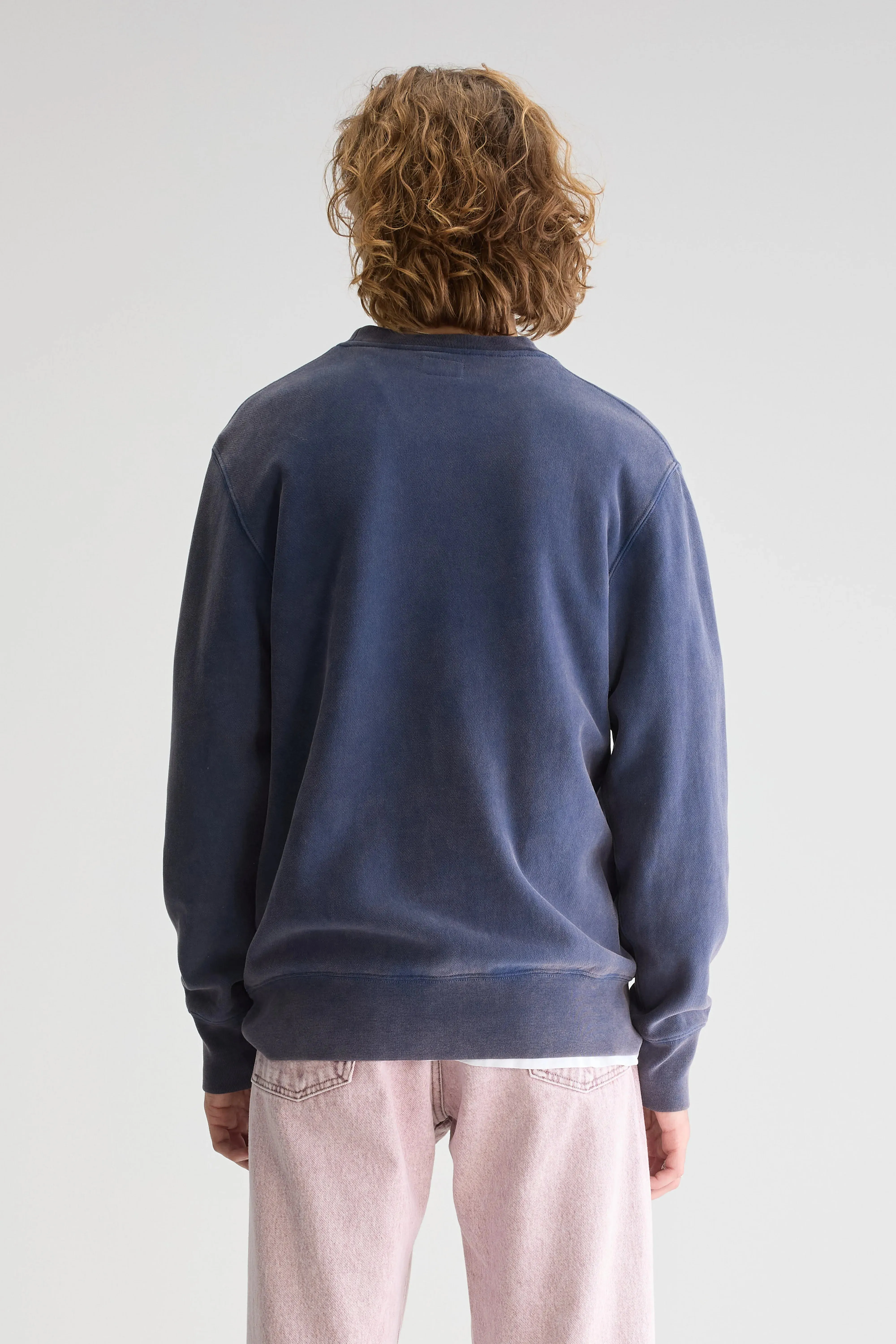 Wrinkle Resistant Flake crewneck sweatshirt (251 / M / REGAL BLUE)